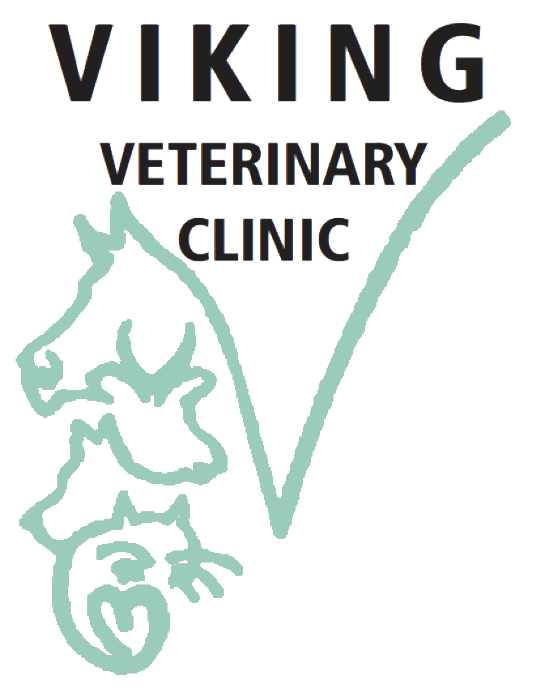 Viking Veterinary Clinic